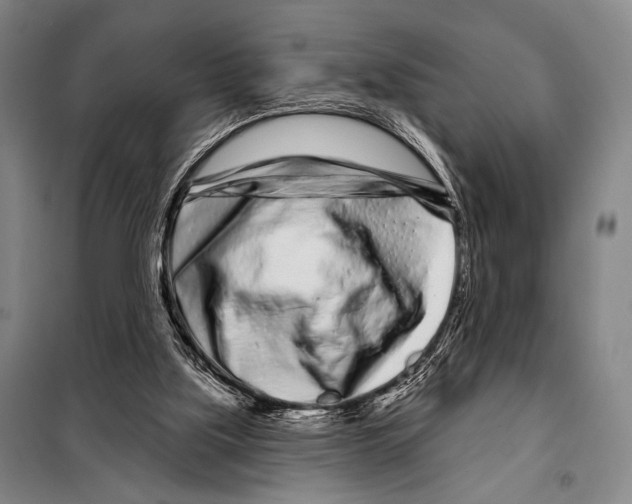 X0000097970059200804211022