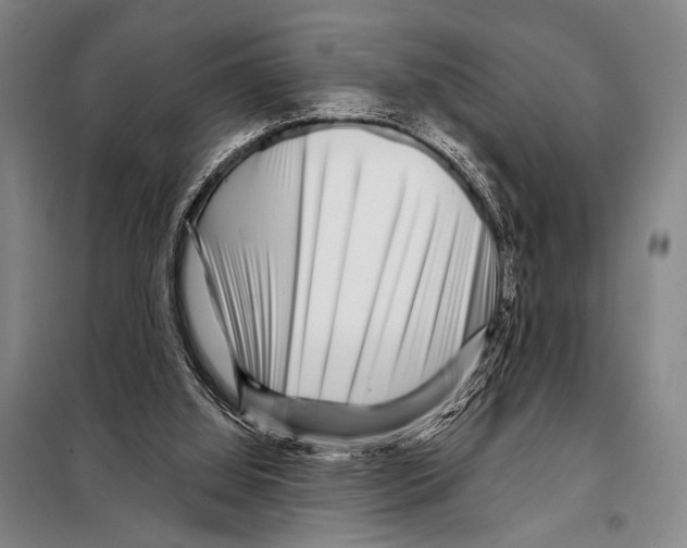 X0000097970060200804211022
