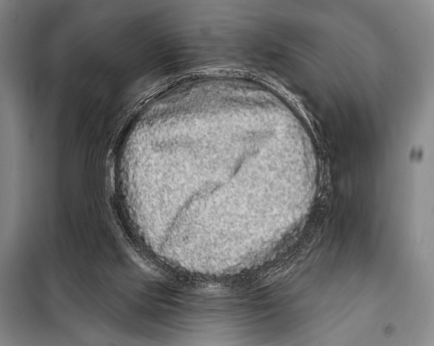 X0000097970061200804211022
