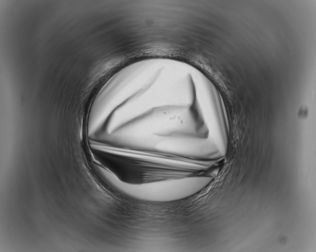 X0000097970062200804211022