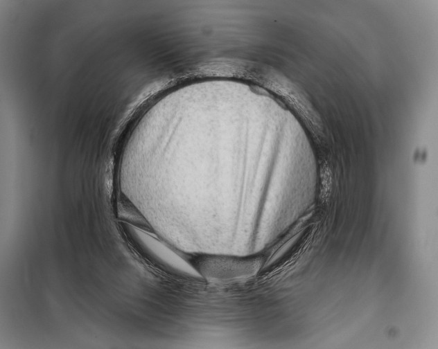 X0000097970064200804211022