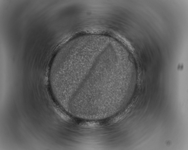 X0000097970065200804211022