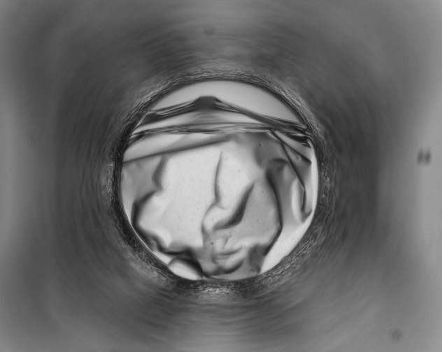 X0000097970066200804211022