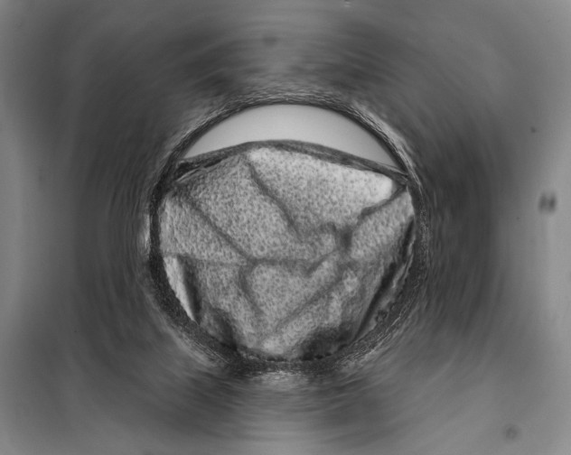 X0000097970067200804211022