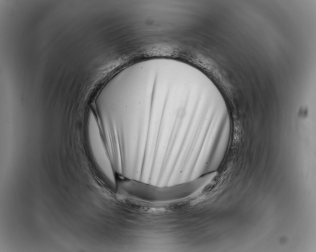 X0000097970068200804211022