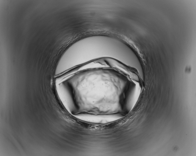 X0000097970069200804211023