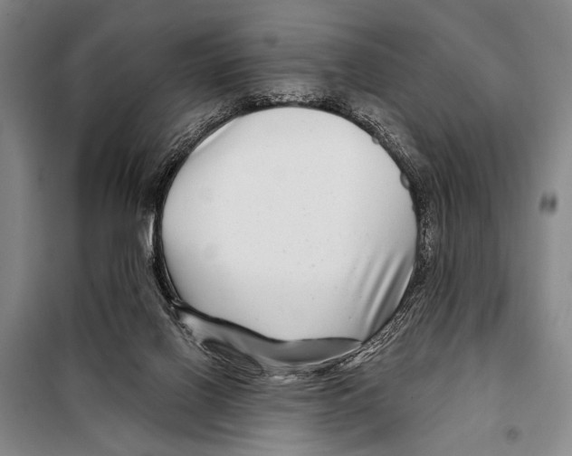 X0000097970070200804211023
