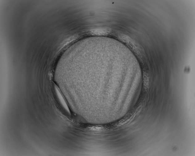 X0000097970071200804211023