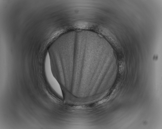 X0000097970072200804211023