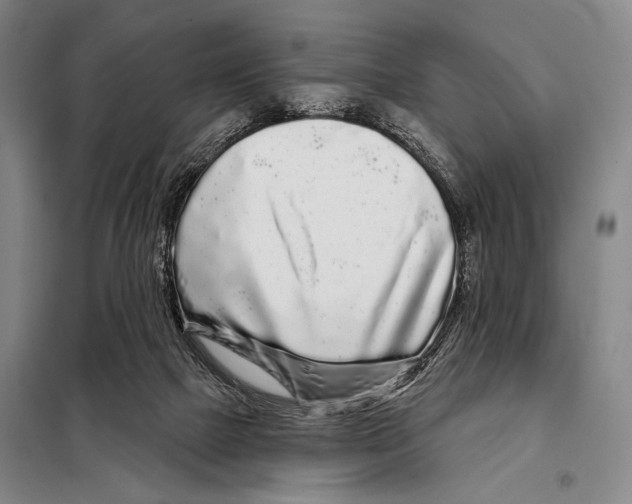 X0000097970073200804211023
