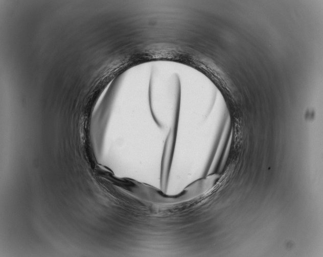 X0000097970074200804211023