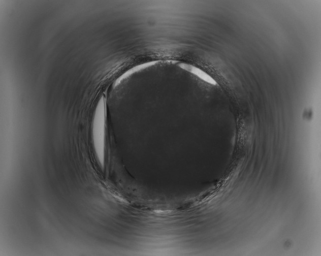 X0000097970076200804211023