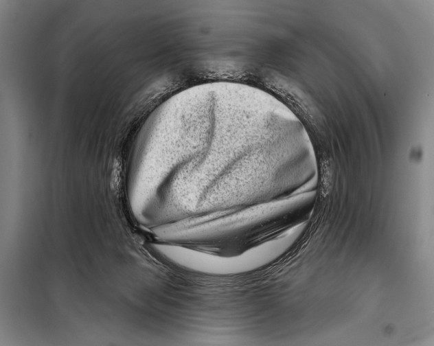 X0000097970077200804211023