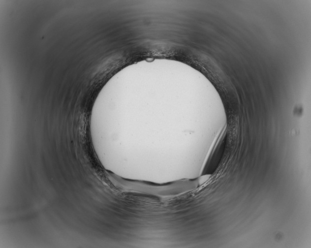 X0000097970078200804211023