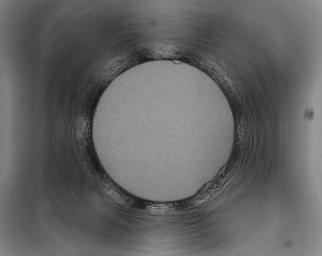 X0000097970079200804211023