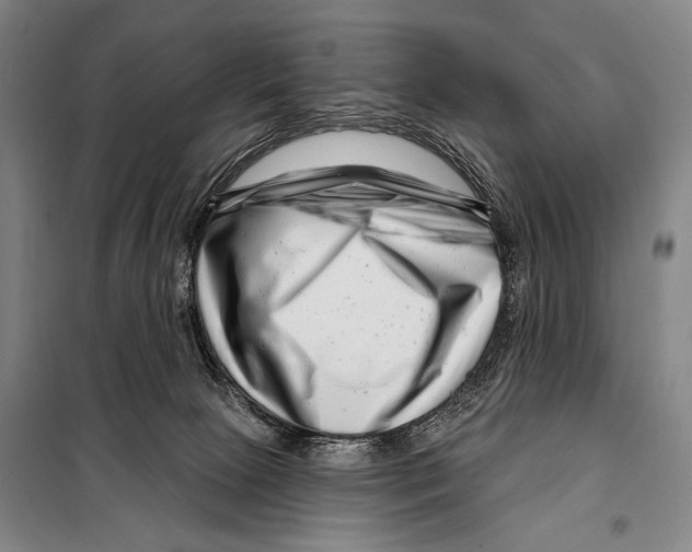 X0000097970081200804211023
