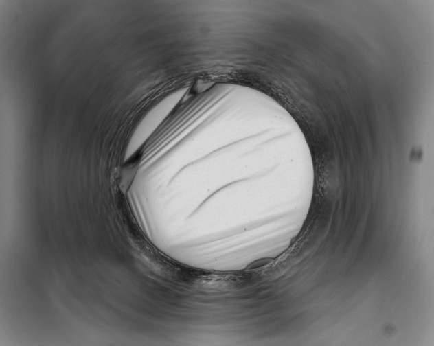 X0000097970082200804211023