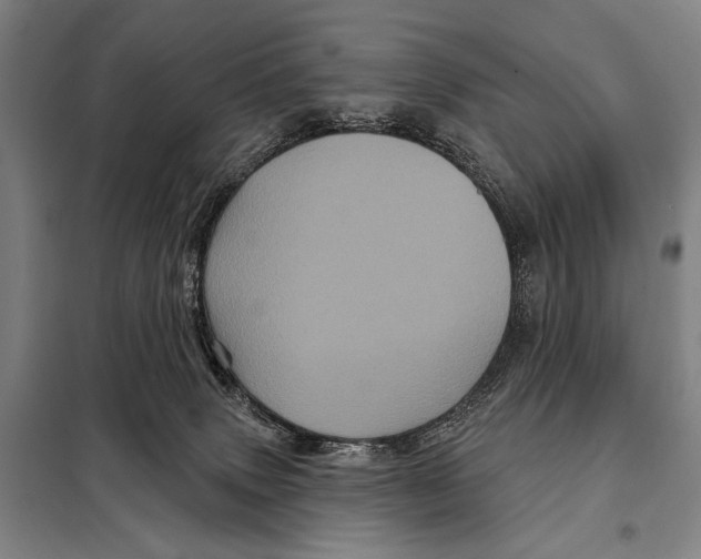 X0000097970083200804211023