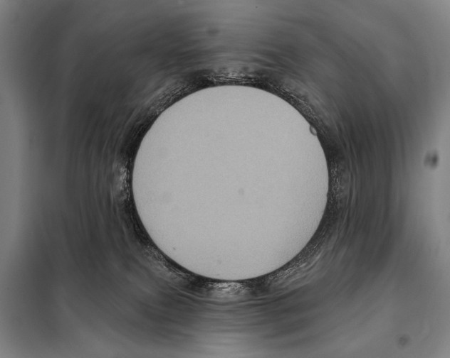 X0000097970087200804211023
