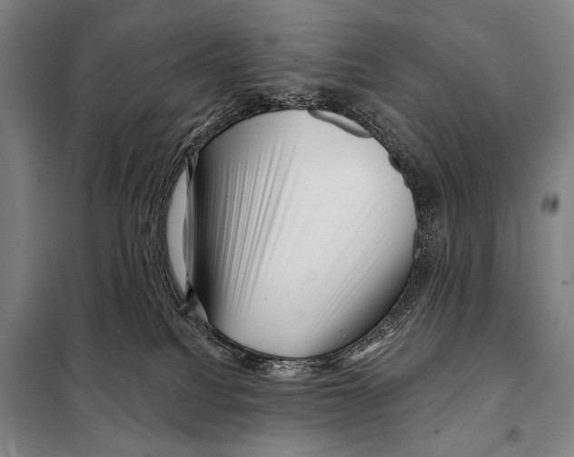 X0000097970088200804211023