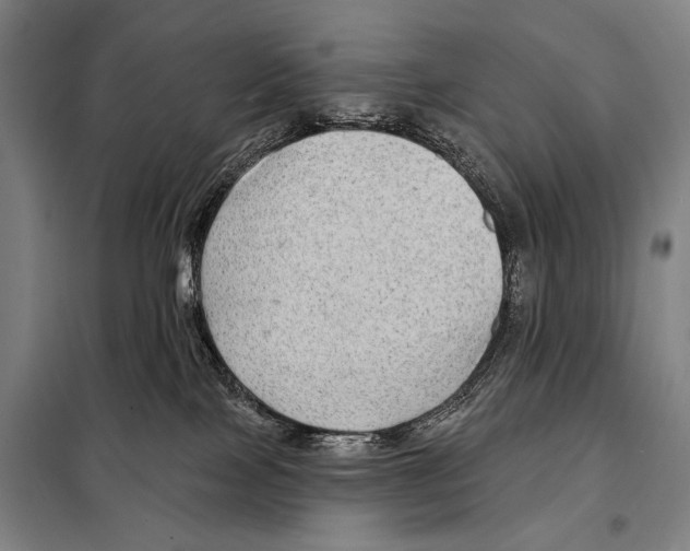 X0000097970089200804211023