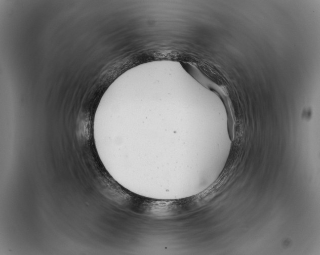 X0000097970090200804211023