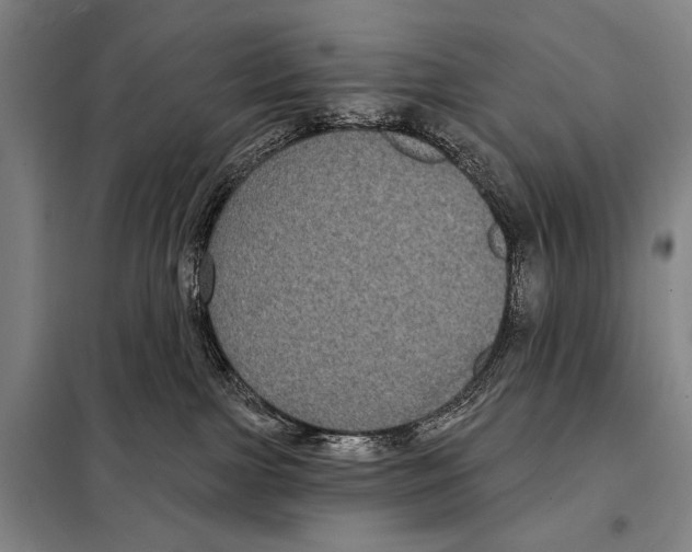 X0000097970091200804211023