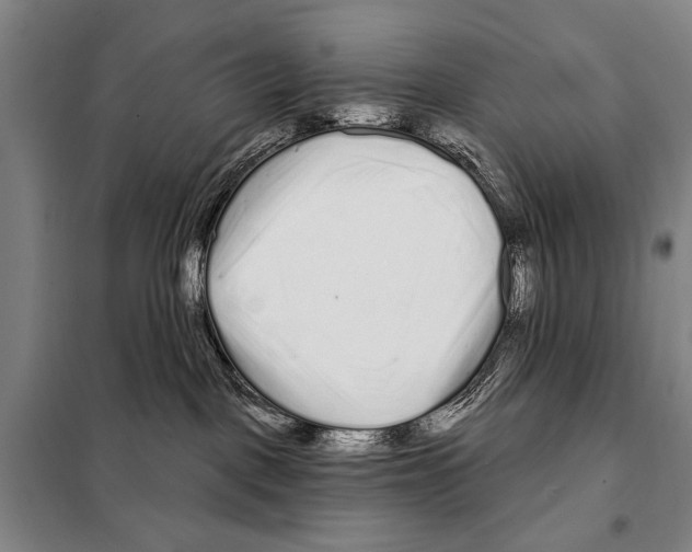 X0000097970093200804211023