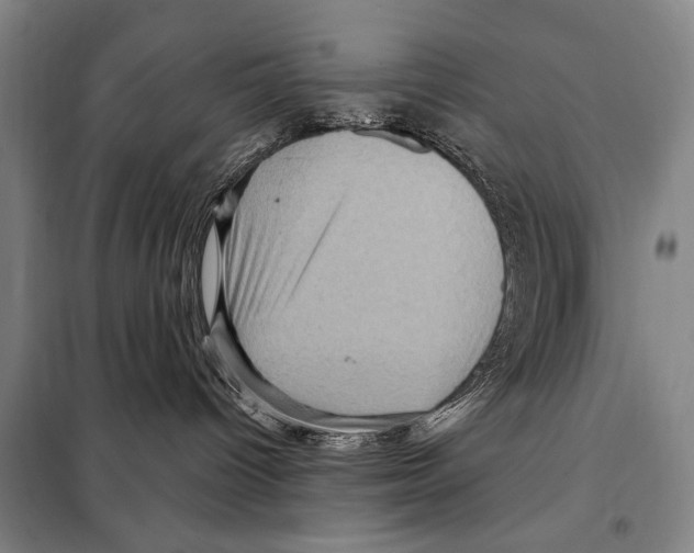 X0000097970096200804211023