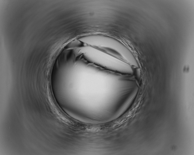 X0000097970097200804211022