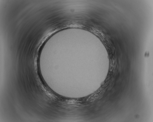 X0000097970098200804211022