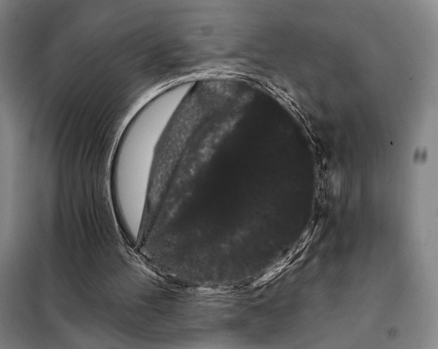 X0000097970100200804211022