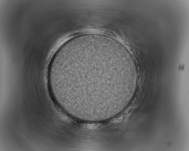 X0000097970103200804211022