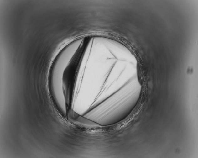 X0000097970104200804211022