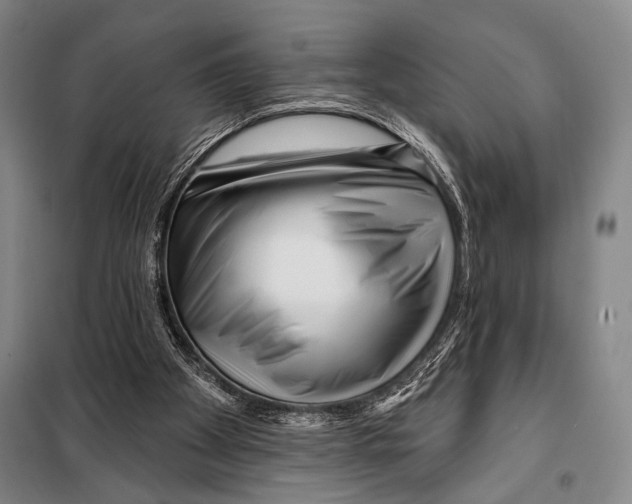 X0000097970105200804211022