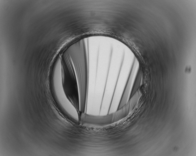 X0000097970108200804211022