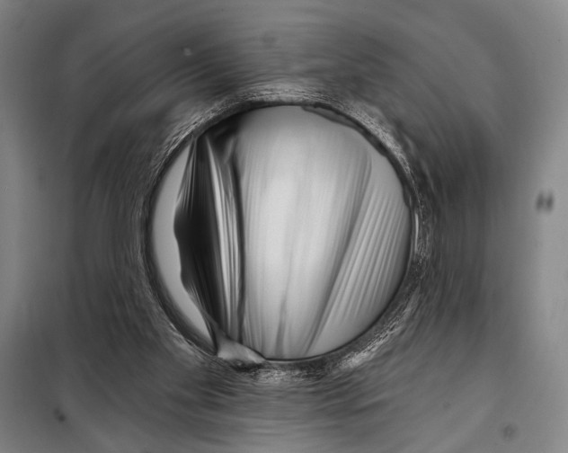 X0000097970109200804211022