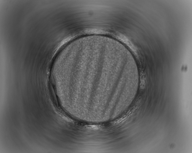 X0000097970111200804211022