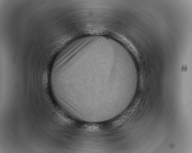 X0000097970113200804211022