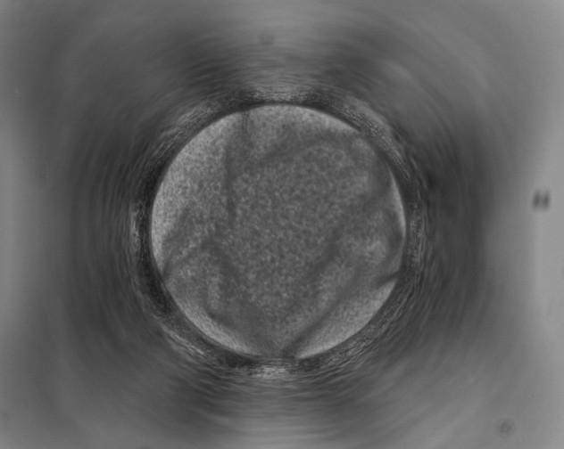 X0000097970114200804211022