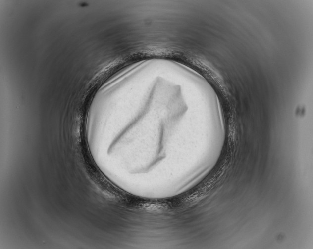 X0000097970115200804211022