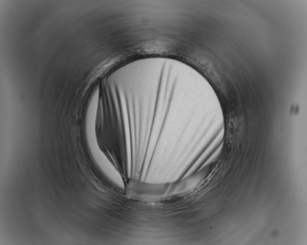 X0000097970116200804211022