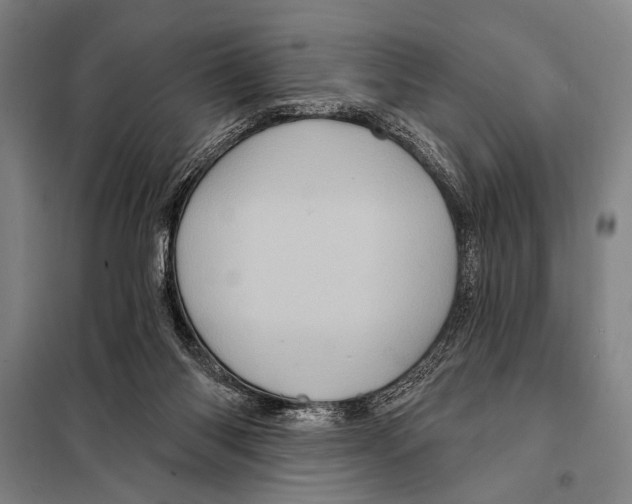 X0000097970118200804211022