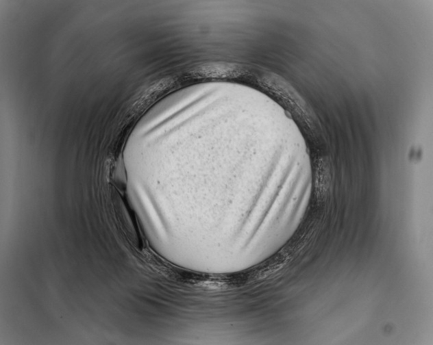 X0000097970119200804211022