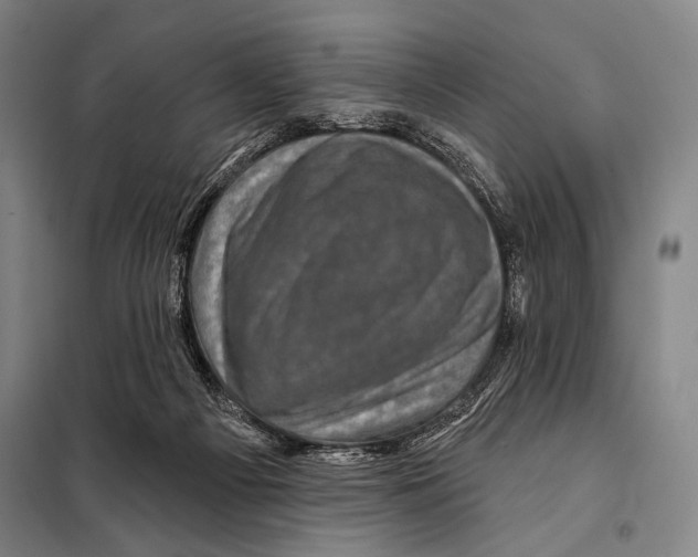 X0000097970121200804211022