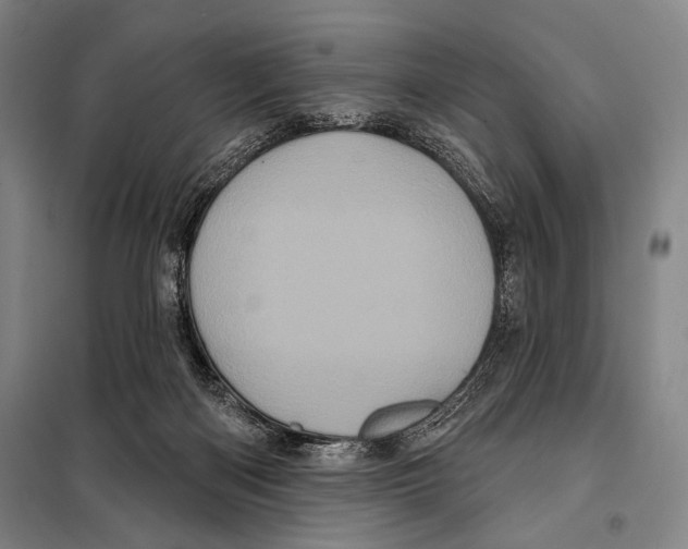X0000097970122200804211022