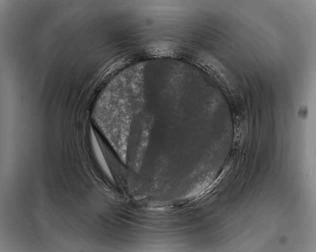 X0000097970124200804211022