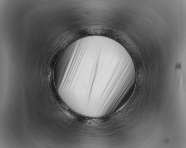 X0000097970125200804211022