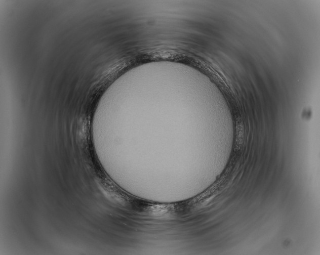 X0000097970126200804211022