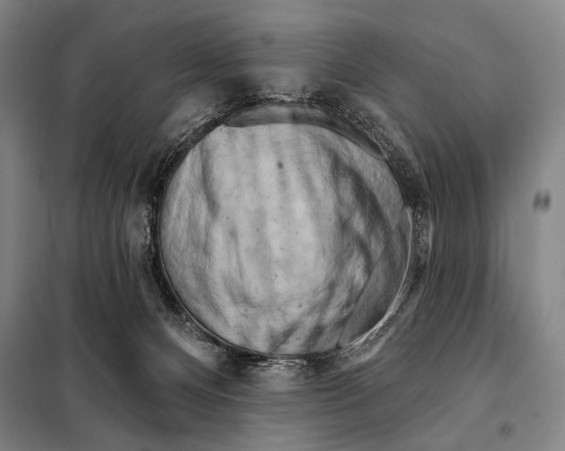 X0000097970128200804211022